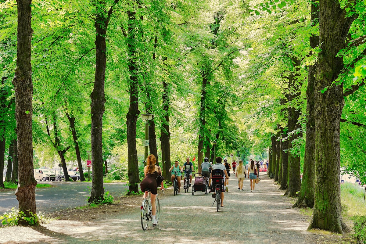 Residents cycling and strolling a tree-lined park avenue