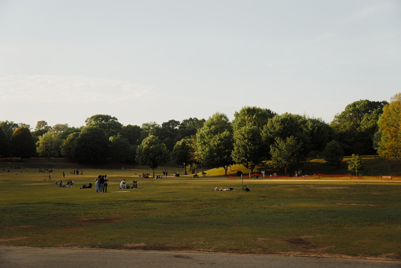People relaxing on a wide park lawn beneath mature trees at golden hour