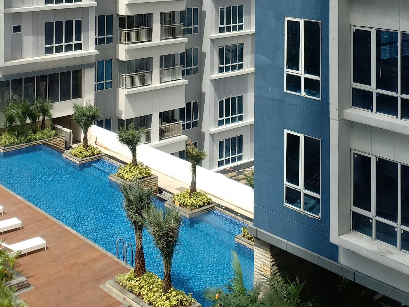 Landscaped pool deck with palms between modern condominium towers