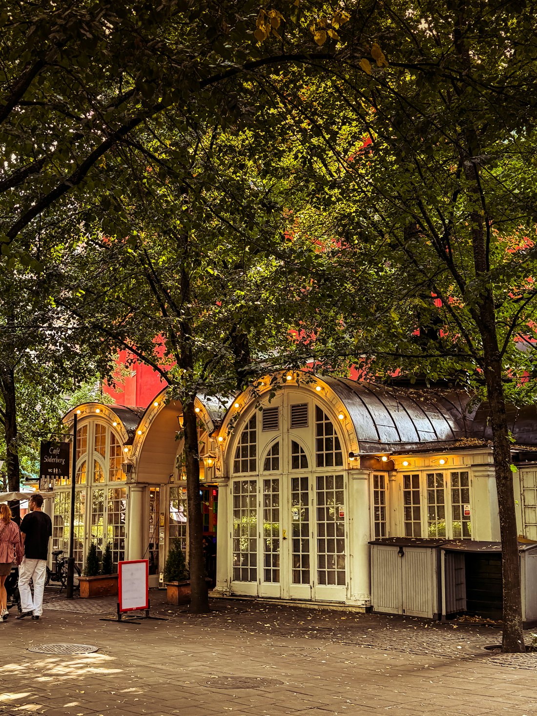Café pavilion under mature trees strung with festoon lights at dusk