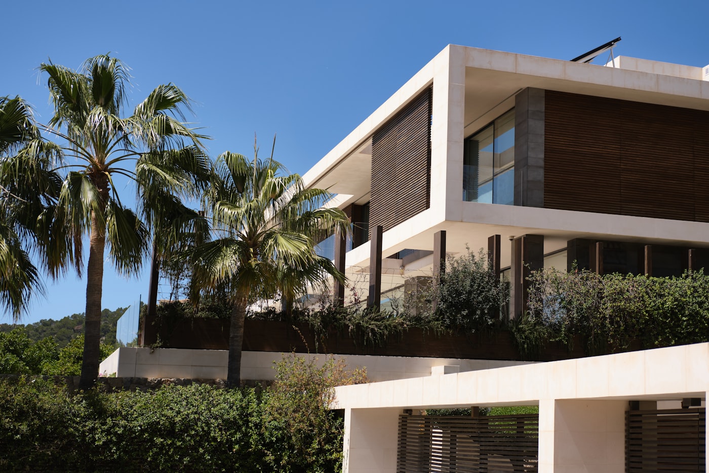 Modern tropical villa with timber screens surrounded by palms